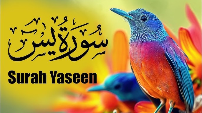 Surah Yaseen PDF